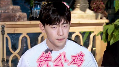 明星娱乐爆料解说大全