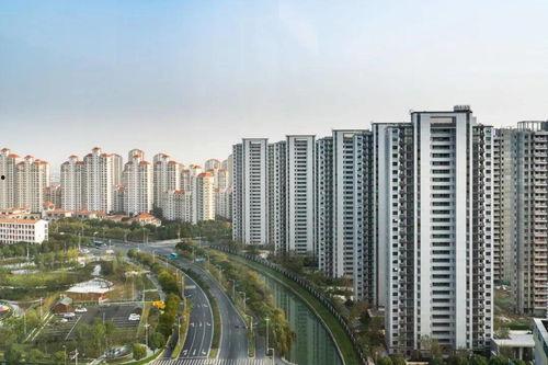 新城最新爆料消息新闻报道,揭秘新闻报道背后的真相与内幕